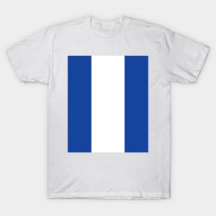 Classic Birmingham City 1970s Blue and White Stripe T-Shirt